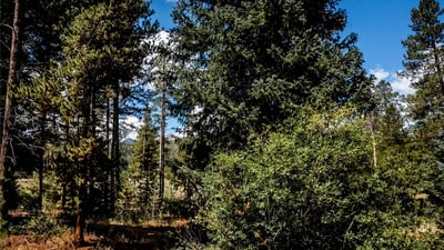 108 Ginger Quill Lane, Breckenridge, CO