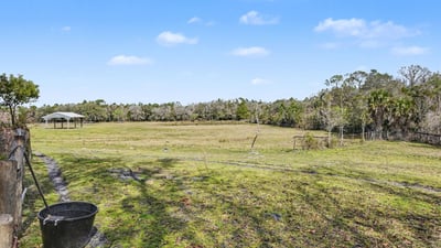 View from the fenced in dog yard looking out into the pasture! This pasture has a natural rolling hill that slopes down providing for natural drainage.