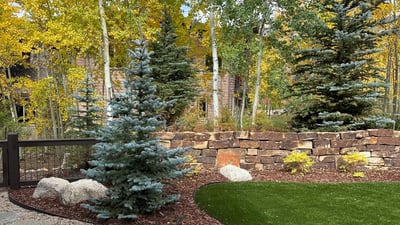240 Game Trail Road, Silverthorne, CO