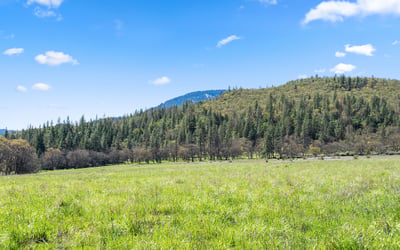 Buckhorn Road #1000, Ashland, OR
