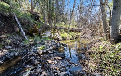 Buckhorn Road #1000, Ashland, OR