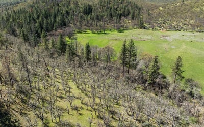 Buckhorn Road #1000, Ashland, OR