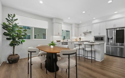 250 Novel, Irvine, CA