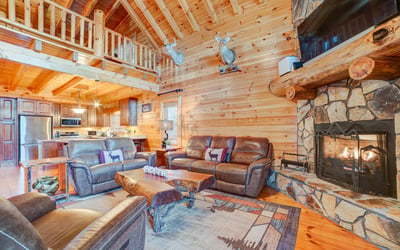 138 Lucius Lane, Cherry Log, GA