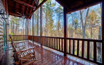 138 Lucius Lane, Cherry Log, GA