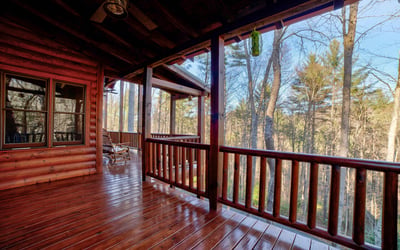 138 Lucius Lane, Cherry Log, GA