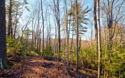 138 Lucius Lane, Cherry Log, GA