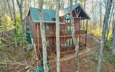 138 Lucius Lane, Cherry Log, GA