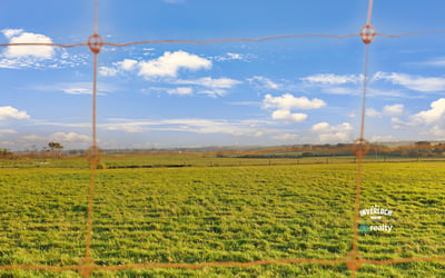 Expansive green fields under a bright sky, ideal for agricultural development or recreational living.