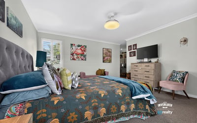 Spacious bedroom featuring vibrant decor, natural light, and cozy furnishings for a welcoming retreat.