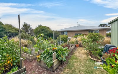 Spacious backyard featuring vibrant vegetable beds, inviting outdoor space ideal for gardening enthusiasts or family gatherings.