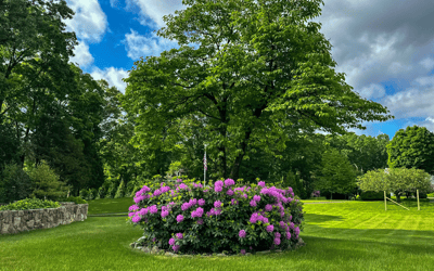 Pastures Lane, New Canaan, CT