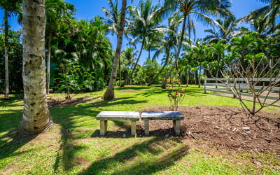 65 N Holokai Rd, Haiku, HI