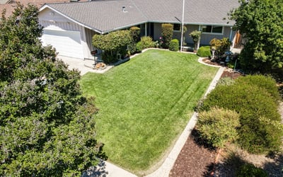 1631 Petri Place , San Jose, CA