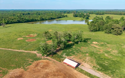 Expansive land featuring a tranquil pond surrounded by lush greenery, ideal for your dream property.