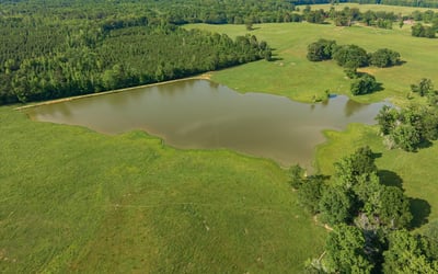Sprawling lush land with a picturesque pond, perfect for recreational activities and serene country living.