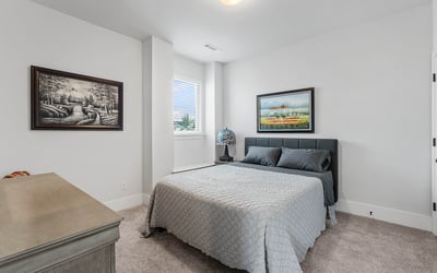 Bedroom with Walk-in Closet
