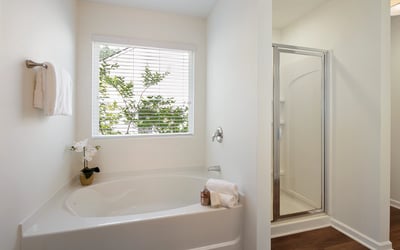 6728 Pierless Avenue, Sugar Hill, GA