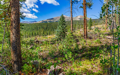322 Slalom Drive, Breckenridge, CO