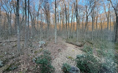 340 W. Laurel Lane, Rockwood, PA