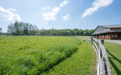 429 Old Distillery Road, Stahlstown, PA