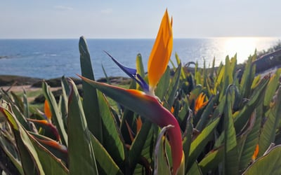 Sea Caves Paradise, #1 Ploutonos Street, Peyia, Paphos