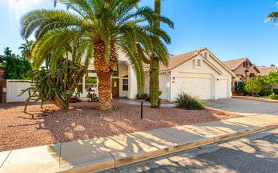 Beautifully landscaped Scottsdale front yard featuring mature palms, cactus accents, and low-maintenance gravel landscaping. This desert-inspired design complements the home's architecture while enhancing curb appeal.