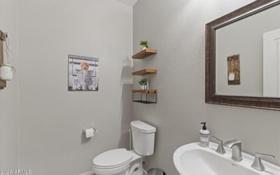 Convenient powder room with modern fixtures, pedestal sink, and neutral finishes ideal for guests visiting this Queen Creek home.