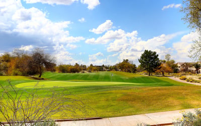 Wide golf course view featuring vibrant greens, mature trees, and desert surroundings. This Phoenix community provides a scenic setting with recreational amenities and a peaceful outdoor environment.
