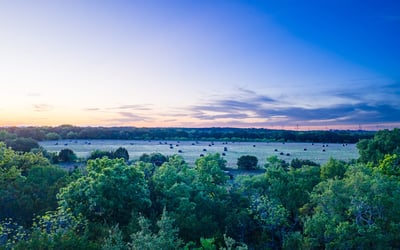 16833 County Road 2200, Lometa, TX