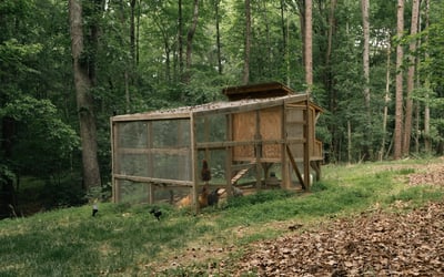 1800 Chestnut Lane, Matthews, NC