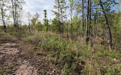 2125 Hwy 247, Belton, SC