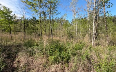 2125 Hwy 247, Belton, SC
