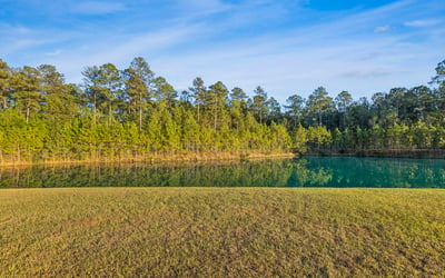 1156 Parrot Avenue, Hardeeville, SC