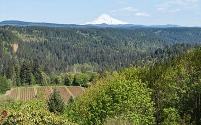7428 SE Cottrell Rd, Gresham, OR