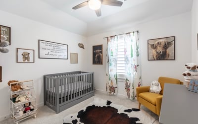 2704 Acadia Mews, Celina, TX