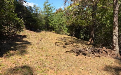676 Alpine Drive, Jasper, GA