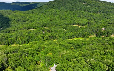 676 Alpine Drive, Jasper, GA