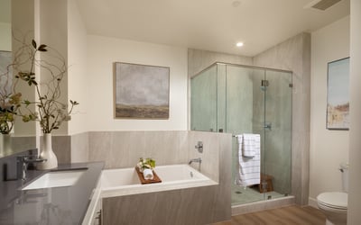Master Bathroom Has Separate Shower Room and Bathtub