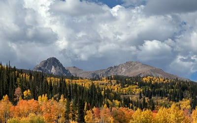 240 Game Trail Road, Silverthorne, CO