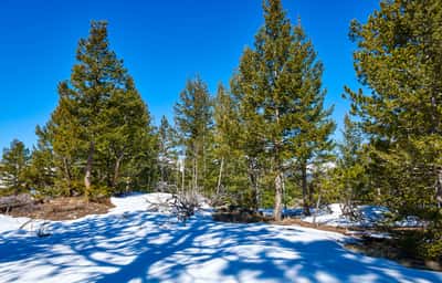 815 Cougar Run, Nederland, CO