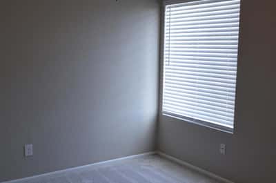 Bright guest bedroom featuring soft new carpeting, neutral colors, ceiling fan, and abundant natural light. A flexible space ideal for visitors, family members, or a dedicated workspace.