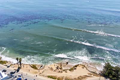 562 36th Ave, Santa Cruz, CA