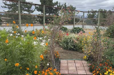 11301 SW Robinson Lane, Powell Butte, OR