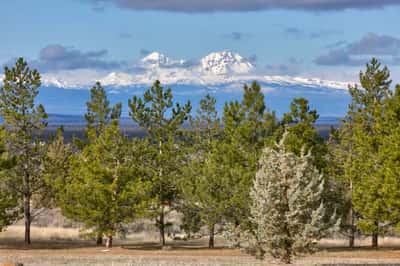 11301 SW Robinson Lane, Powell Butte, OR