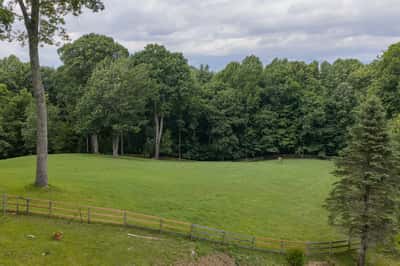 Discover a spacious, open landscape surrounded by lush trees, perfect for your dream home or retreat.