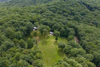 Secluded retreat surrounded by lush greenery, offering expansive outdoor space and natural privacy for relaxation.