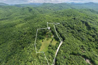 Expansive land opportunity surrounded by lush greenery, offering potential for development or a private retreat.