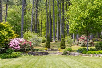 Discover a lush, vibrant landscape featuring stunning flowers, mature trees, and beautifully manicured pathways.