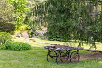 Discover a tranquil outdoor space featuring a vintage cart surrounded by lush greenery and vibrant landscaping.